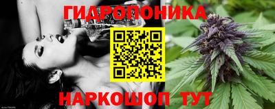 шишки Балахна