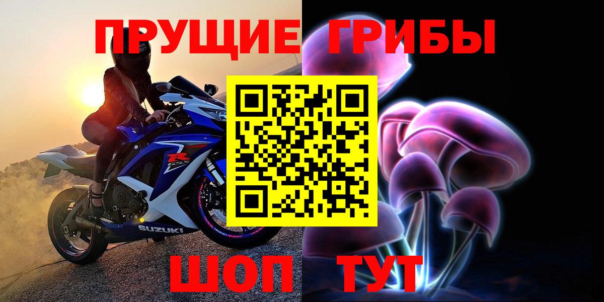 Губкинский  Псилоцибиновые грибы Psilocybe  Вход с VPN 